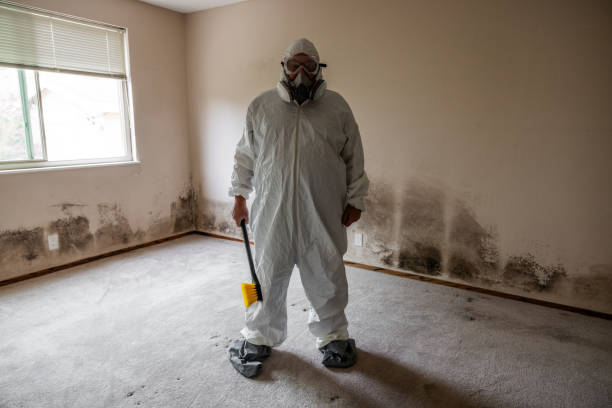 Best Commercial Mold Remediation in Burney, CA